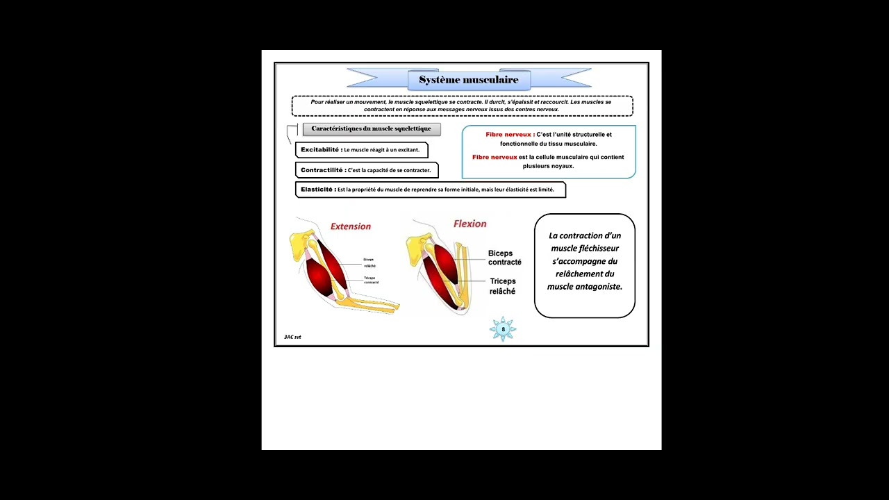 3AC : système nerveux + système musculaire + les microbes épisode 2