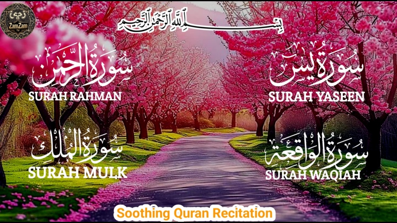 Surah Yaseen Recitation for Inner piece Surah Rahman Surah Waqiah Surah Mulk