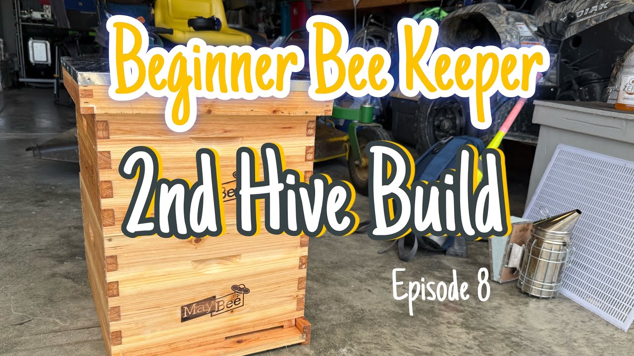 How to build a 10 frame beehive | Episode 8