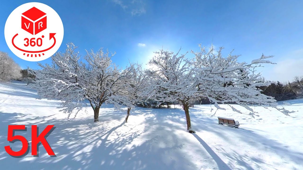 Snow forest Beautiful day in Canada | VR 360 Video 5K | Can In Canada 🇨🇦