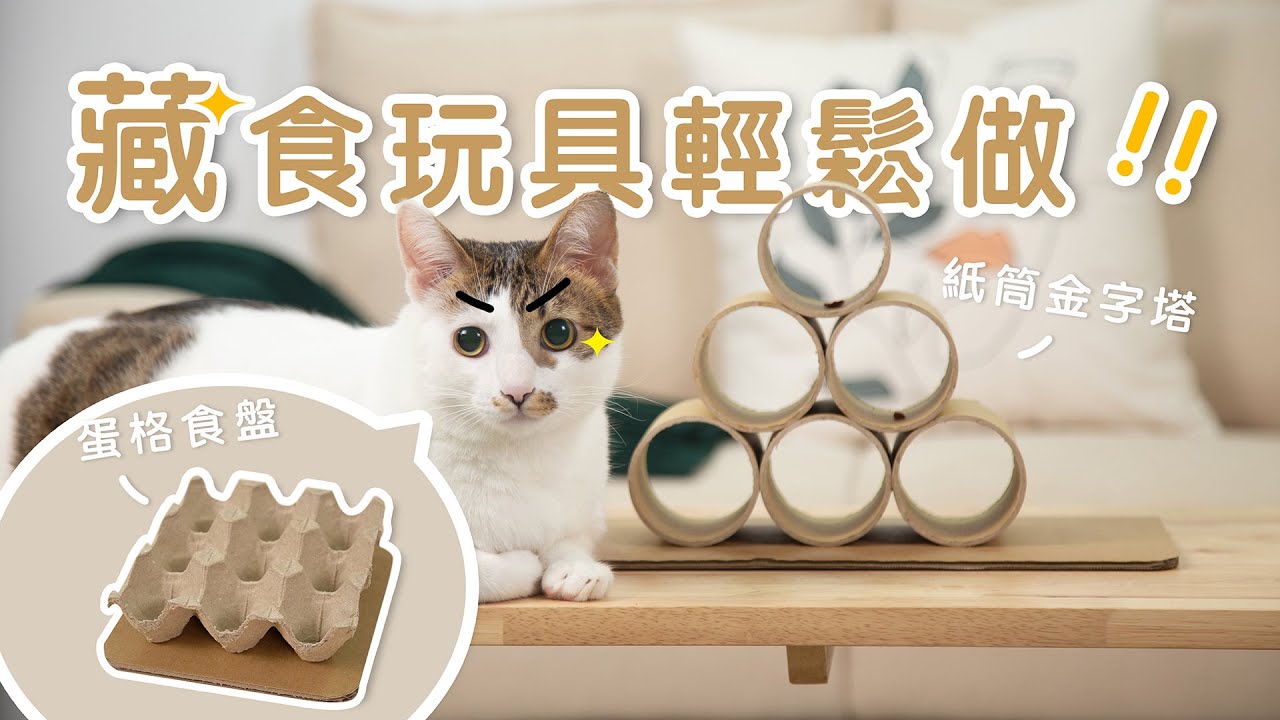 藏食玩具輕鬆做！ | 兩種自製藏食玩具詳細教學 | 你的貓咪也能完成高難度挑戰嗎？ | MYZOO動物緣