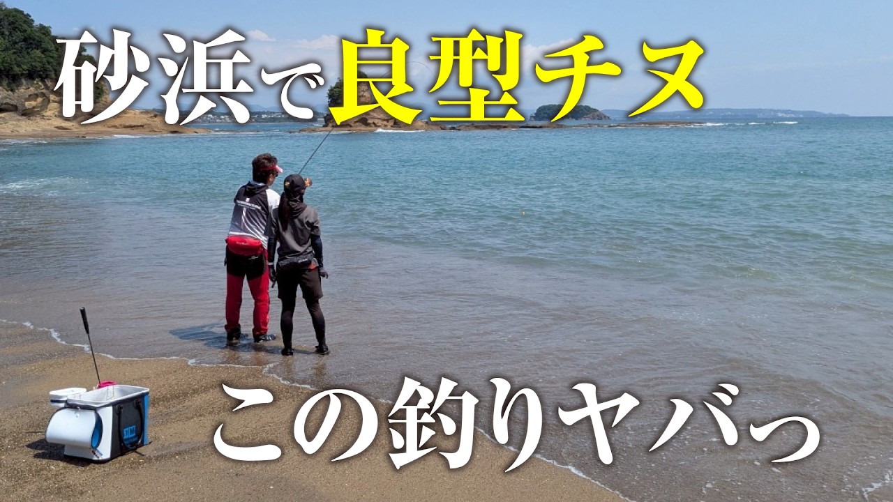 砂浜からこんなチヌが釣れるなんて!?一度は試してみたい渚釣りが楽しすぎる