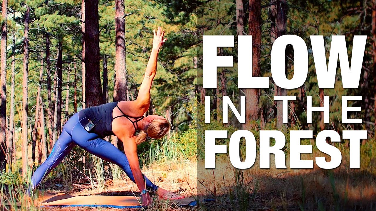 Занятия йогой «Поток в лесу» — Five Parks Yoga