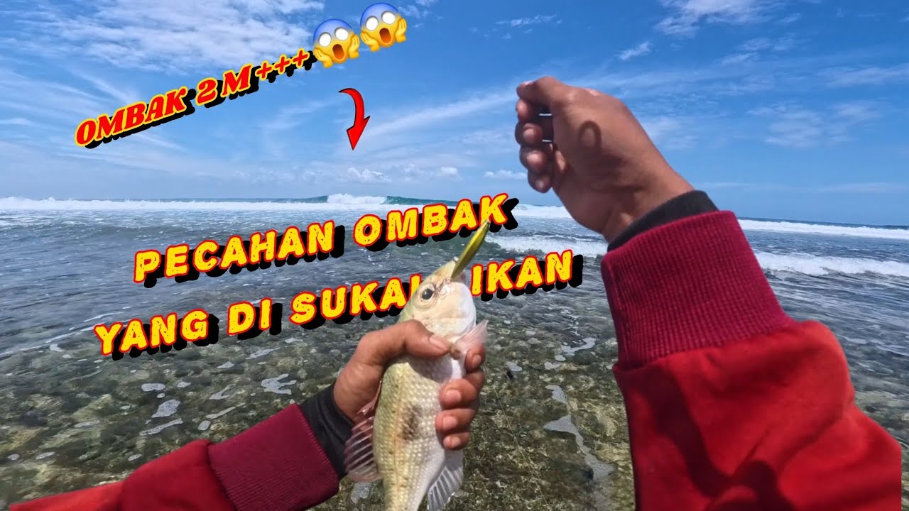 OMBAK dan ARUS kencang membuat IKAN LEBIH AKTIF mencari makan ||  Casting KARANG DANGKAL 