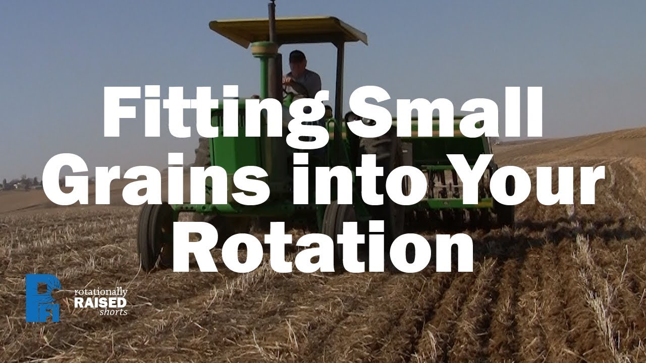 Fitting Small Grains into your Rotation