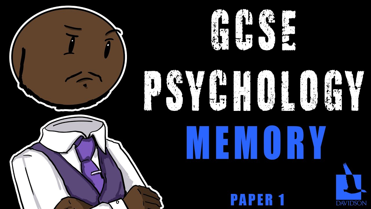 Processes of Memory GCSE Psychology