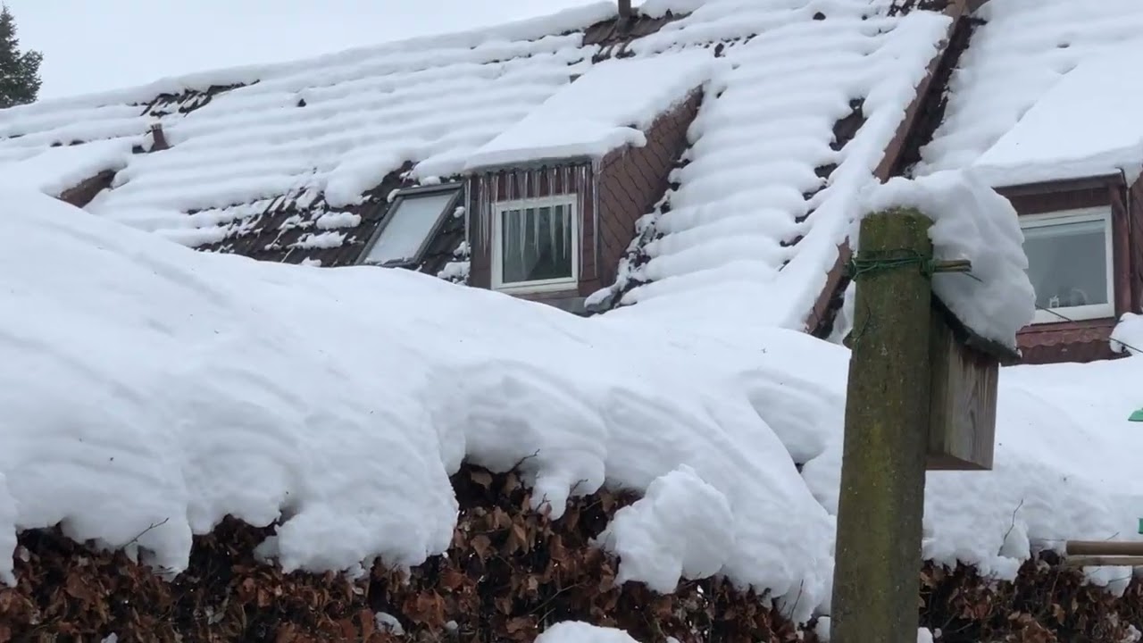 Snow cold 10.January 2026