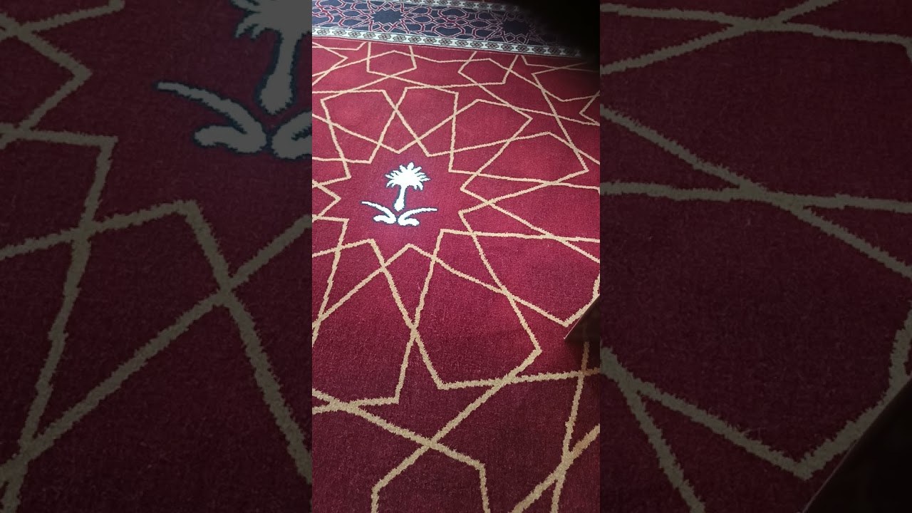 تلاوة من سورة مريم حتى نهاية السورة ، من صلاة التراويح ليلة ١٦ من رمضان سنة ١٤٤٧ للشيخ صلاح العريفي
