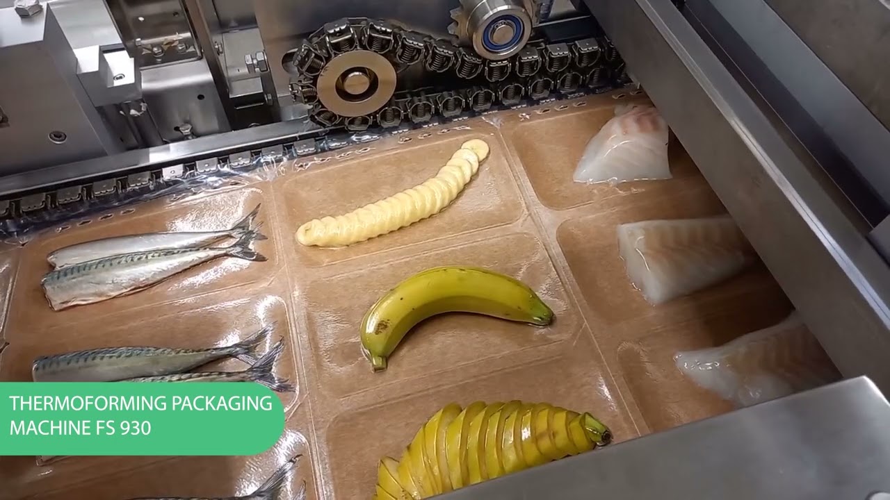 Thermoforming machine by Mecapack