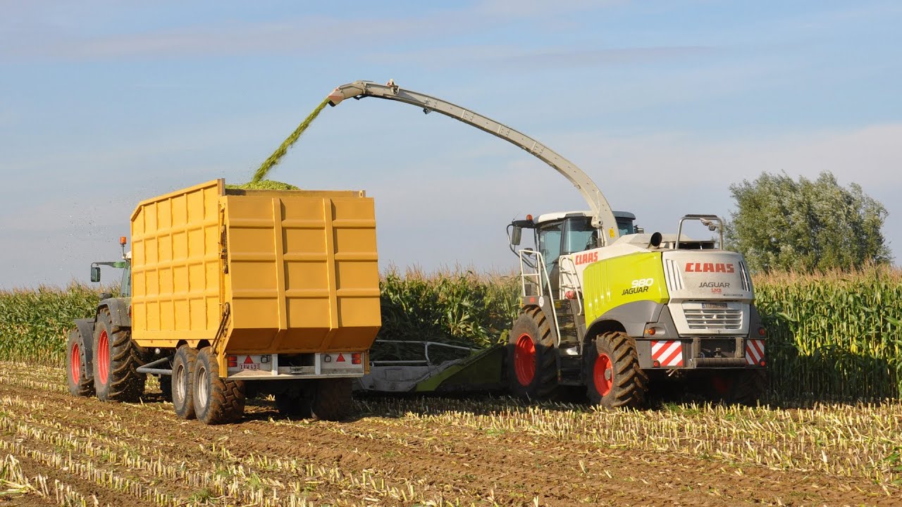 Claas Jaguar 980 Dynamic Power - Loonbedrijf Neyt - mais 2013