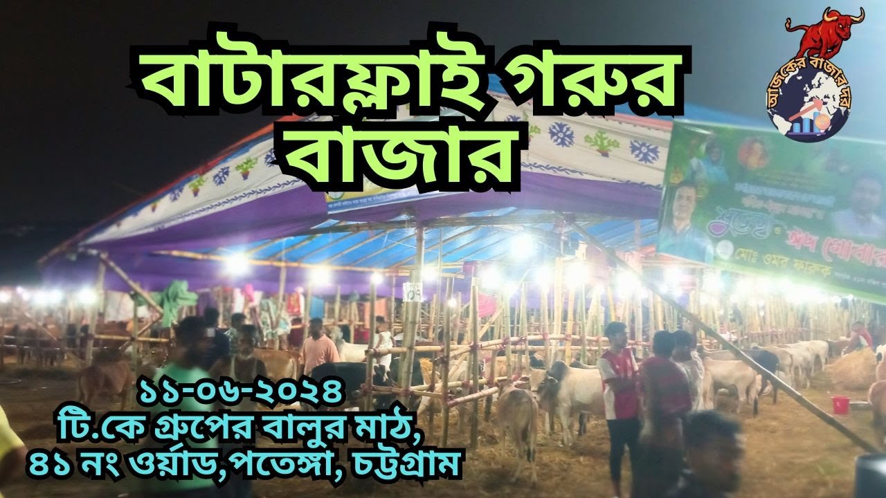 বাটারফ্লাই গরুর বাজার।।টি.কে গ্রুপের বালুর মাঠ, ৪১ নং ওর্য়াড,পতেঙ্গা, চট্টগ্রাম। কোরবানি ২০২৪।।