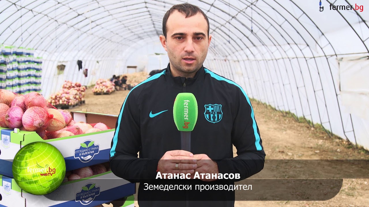 Как едно селце може да прослави България с лечебния си воден лук