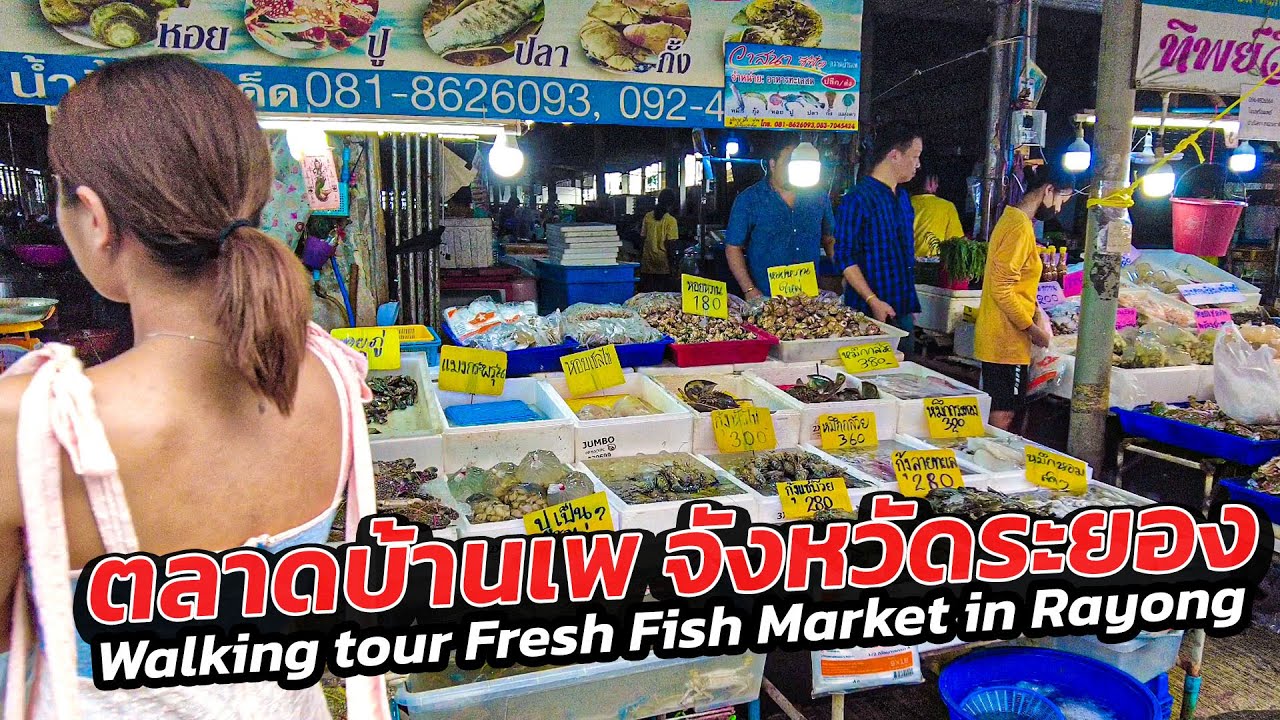 ีUpdate ตลาดบ้านเพ Ban Phe fresh seafood Market walk, Explore the street Suan Son Beach | Rayong 🇹🇭