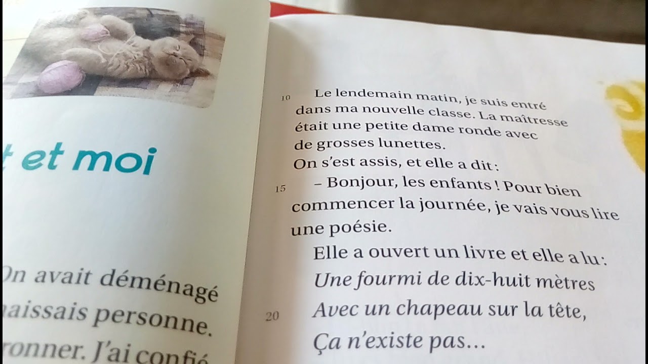 lecture.la rentrée,mon chat et moi.(2eAP)