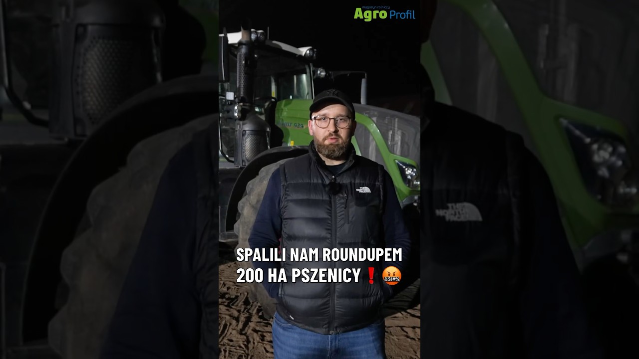 In revenge, they destroyed 200 hectares of wheat! 500,000 PLN in losses!