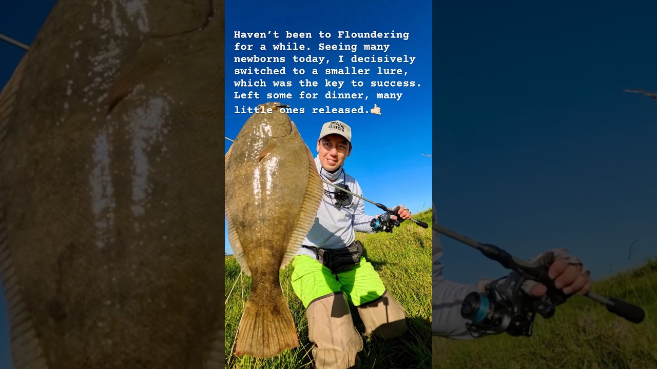 FlounderingNZ  #FlounderFishing#Softbaiting#CatchMoreFish #BerkleyFishingNZ #NZFishingNews