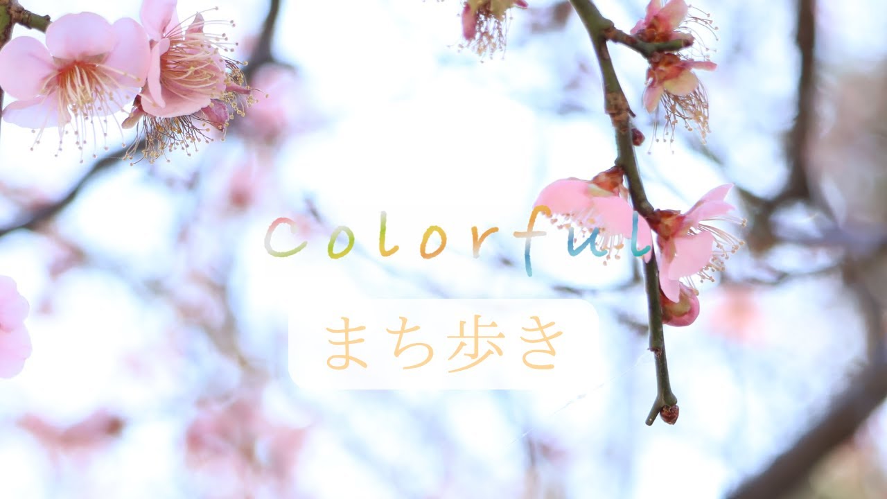 colorful Vol.56 まち歩き【神奈川県小田原市】