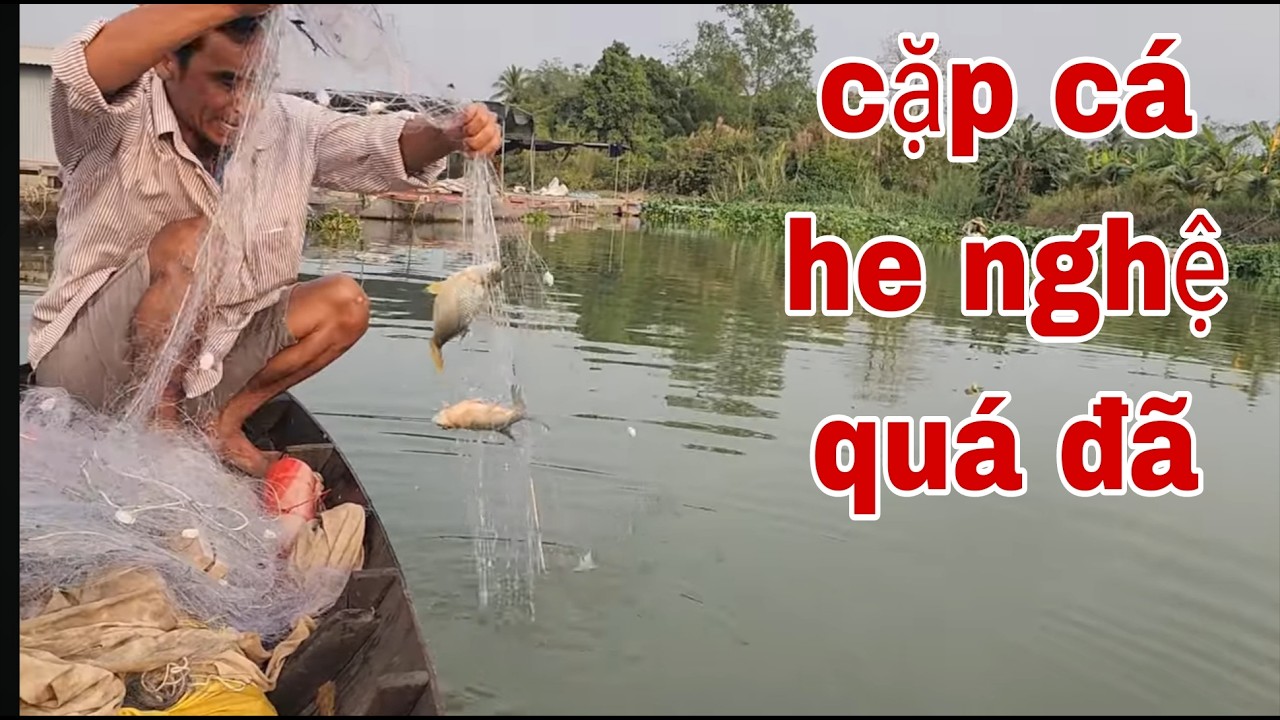 Thăm Lưới Cá Ngày Cận Tết , Đúng Như Câu Vui Như Ngày Tết # SĂN BẮT ĐỒNG THÁP #