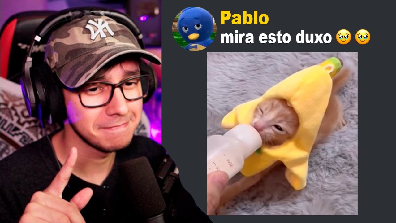 Si no me da ternura, TE BANEO 😡