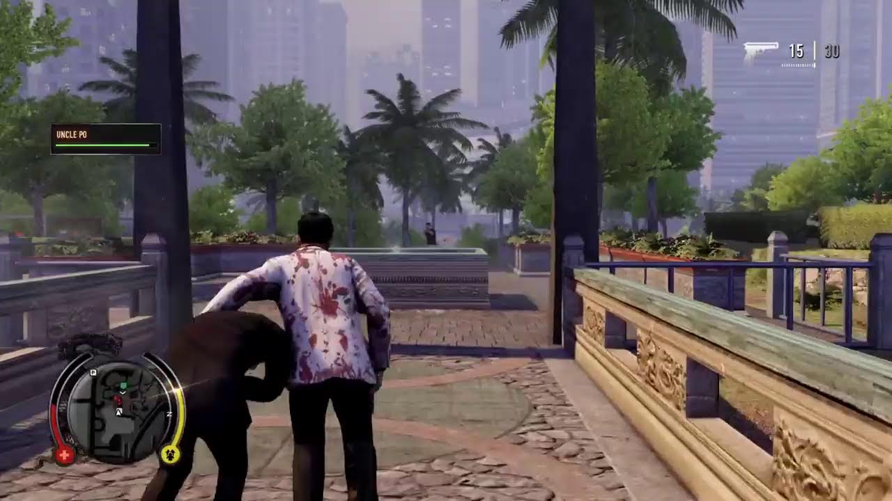 Sleeping Dogs