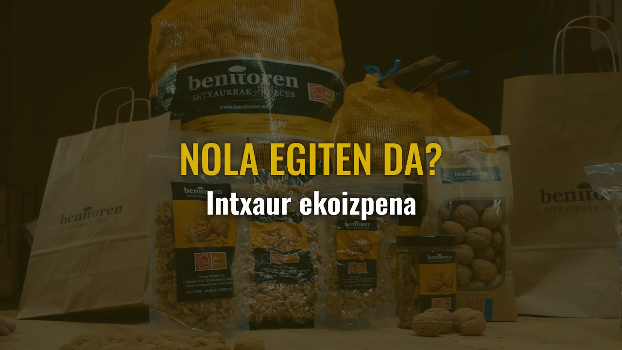 Nola egiten da intxaur ekoizpena?