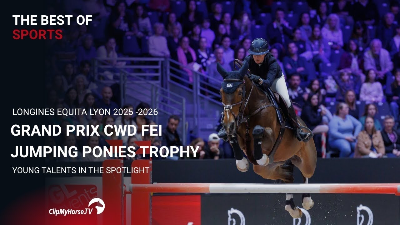 FEI Jumping Ponies Trophy