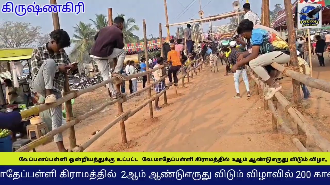 வேப்பனப்பள்ளி ஒன்றியத்துக்கு உட்பட்ட   வே.மாதேப்பள்ளி கிராமத்தில்  2ஆம் ஆண்டுஎருது விடும் விழா.