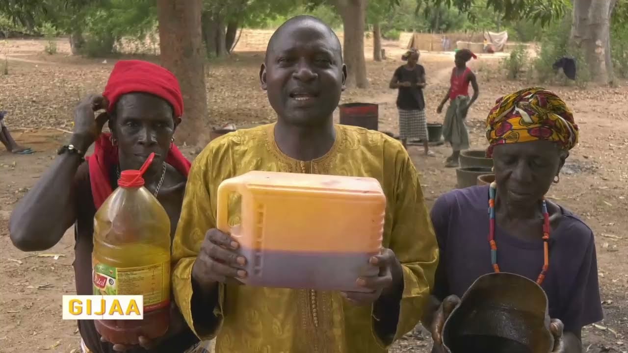 L'extraction artisanale de l'huile de palme en milieu balante dans l'espace Sénégambien.