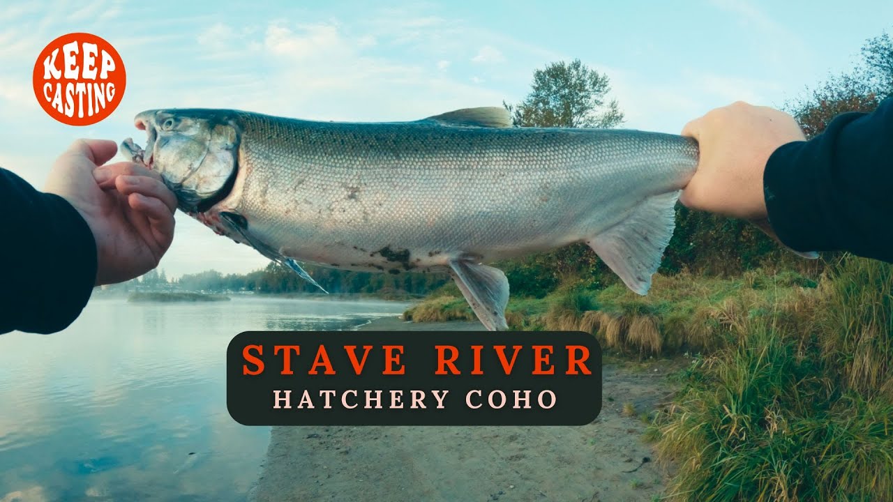 Hatchery Coho Salmon on Prime Lures | Jig Geek Alpha One | Stave River, BC