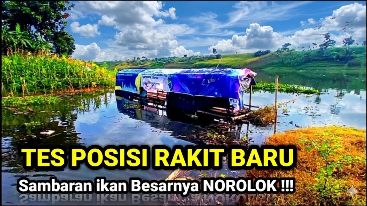 PASTIKAN SENAR ANDA KUAT || BANYAK IKAN BESAR DI SPOT INI || mancing saguling terbaru#mancing mania