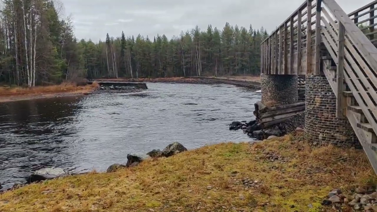 Lentuankosket | Kuhmo