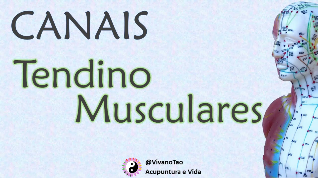 Canais e Colaterais - Tendino-Musculares