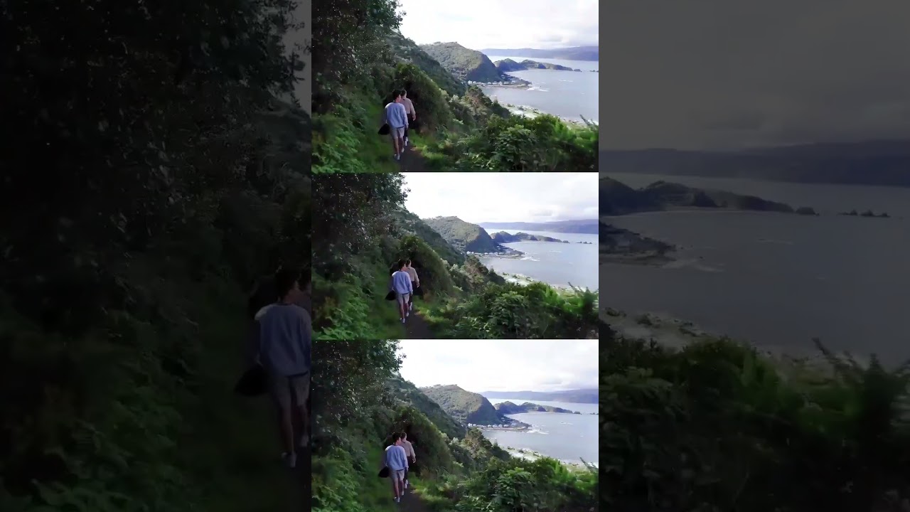 A must-do walk in Wellington, New Zealand &mdash; The Eastern Walkway