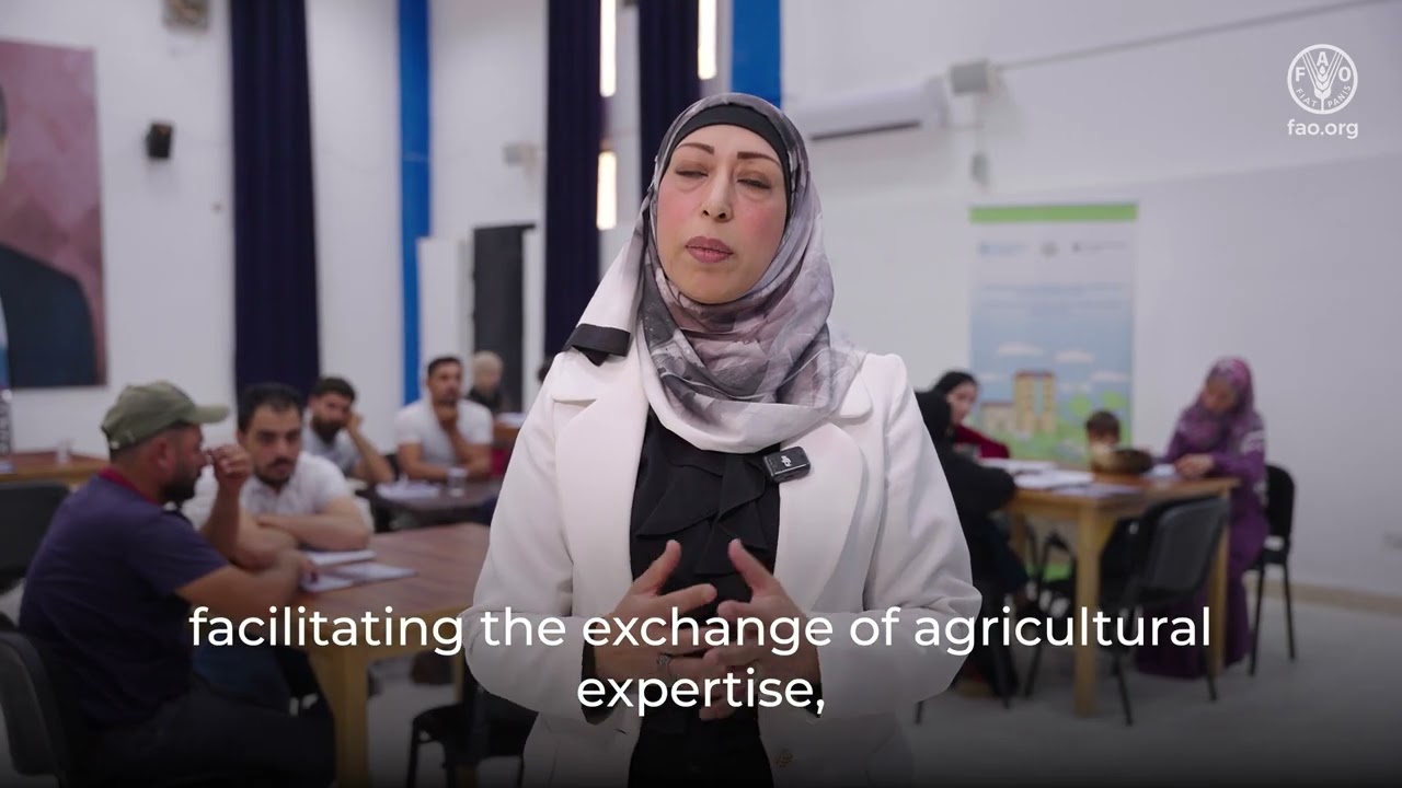 Transformation to more efficient, inclusive, resilient, and sustainable agrifood systems