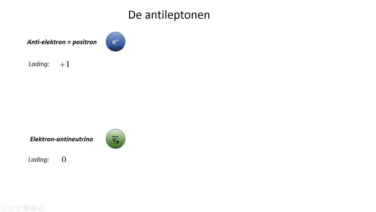 Labofun standaardmodel 4 leptonen