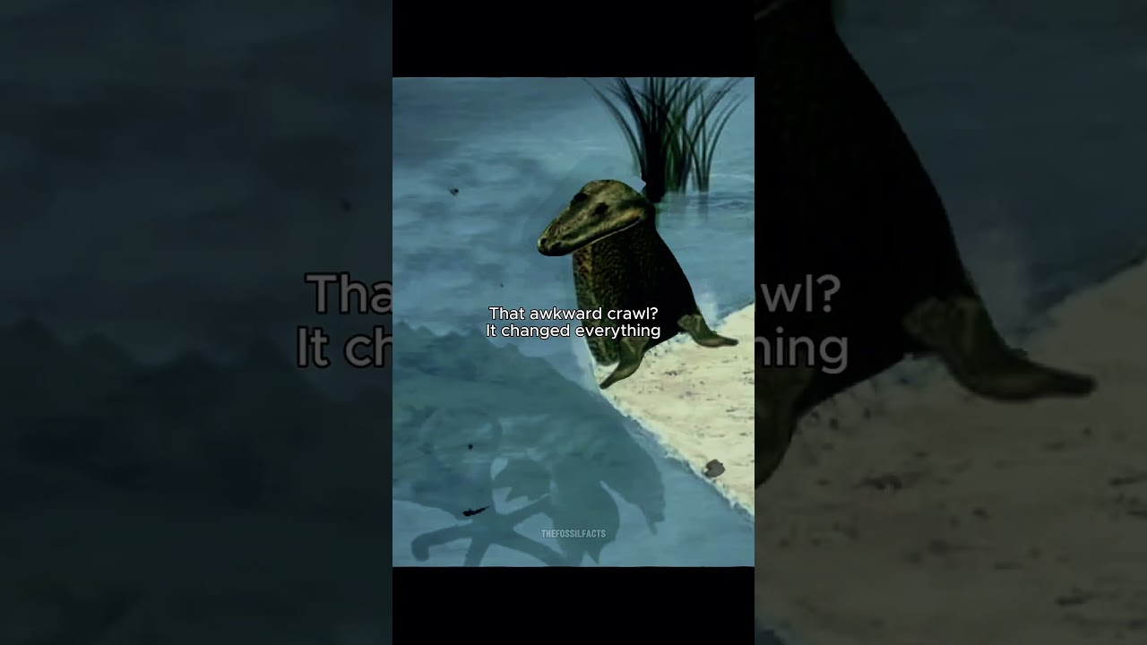 The First Vertebrate to Leave Water 💧  #prehistoricanimals #prehistoric