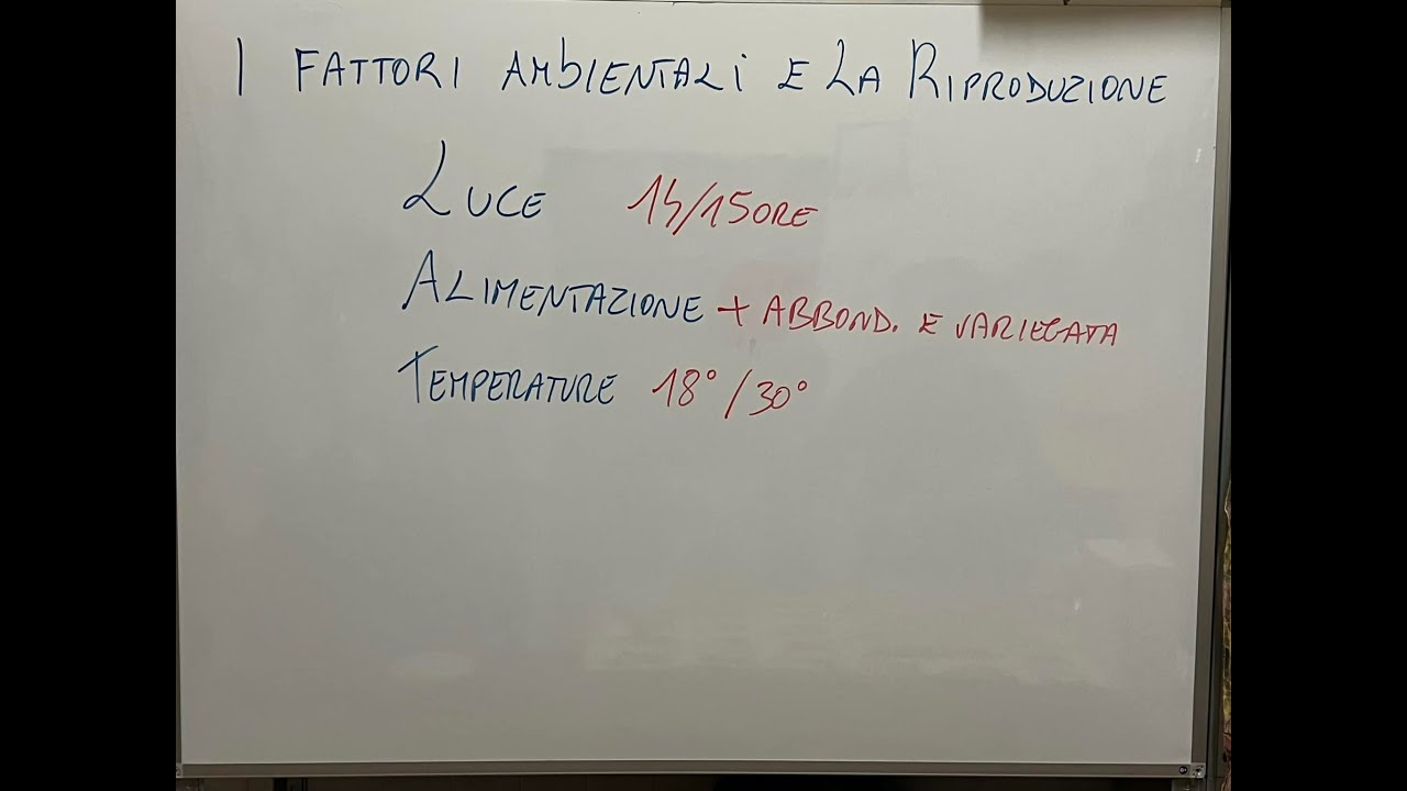 Cosa manda realmente in estro i nostri uccelli?