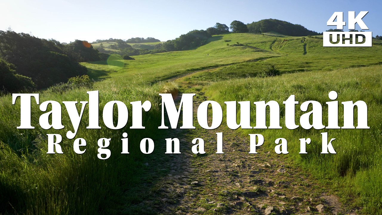 Hike to the Summit Of Taylor Mountain - Sweeping Views, Grasslands, Oak Woodlands, and Wildlife.