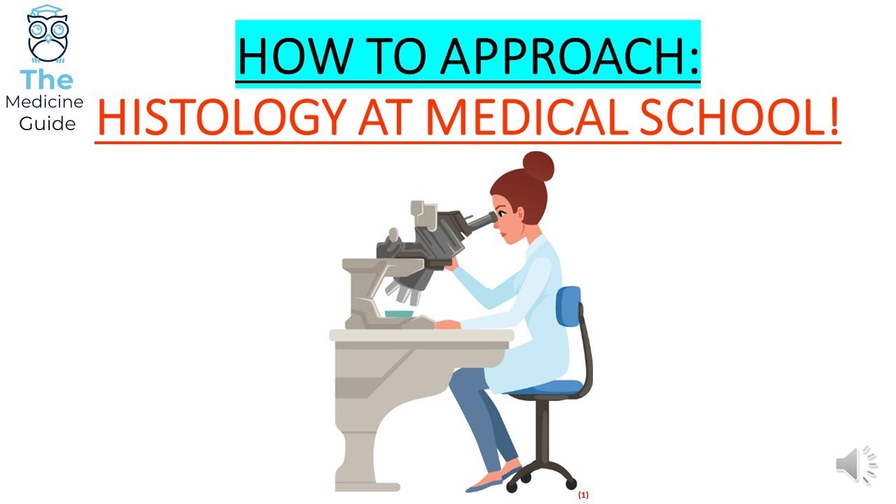 HOW TO APPROACH: HISTOLOGY AT MEDICAL SCHOOL!