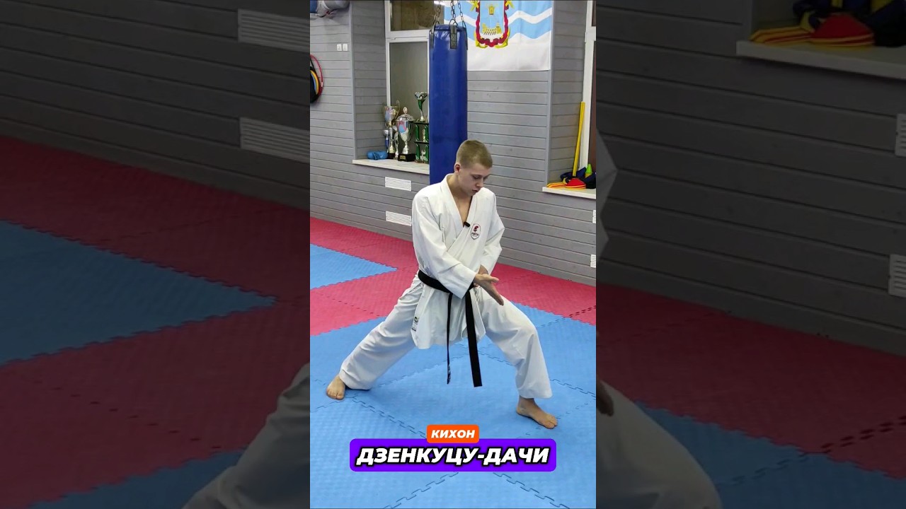 ДЗЕНКУЦУ-ДАЧИ. ПЕРЕМЕЩЕНИЕ #wkf #каратэ #shorts #karate #tiktok  #шортс
