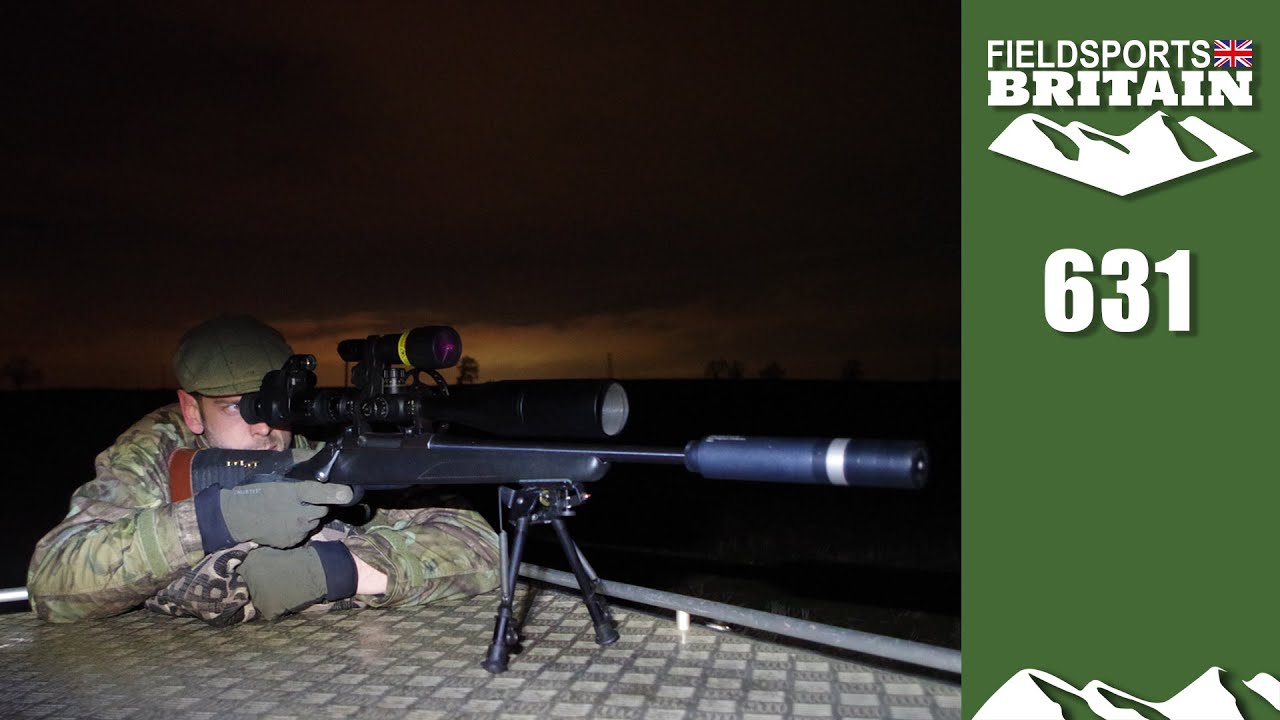 Fieldsports Britain &ndash; foxshooting ups and downs