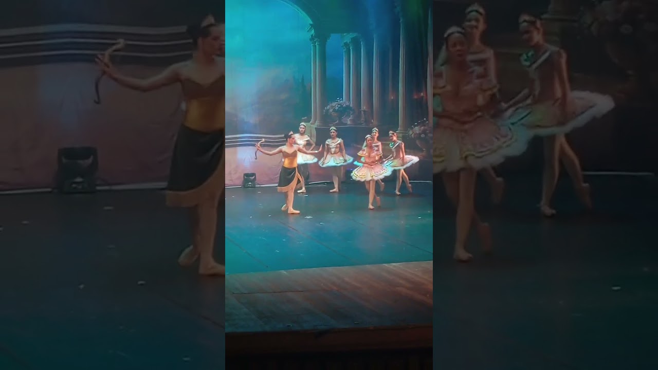 ❤️🌷 Apresentação de balé no teatro José de Alencar.
