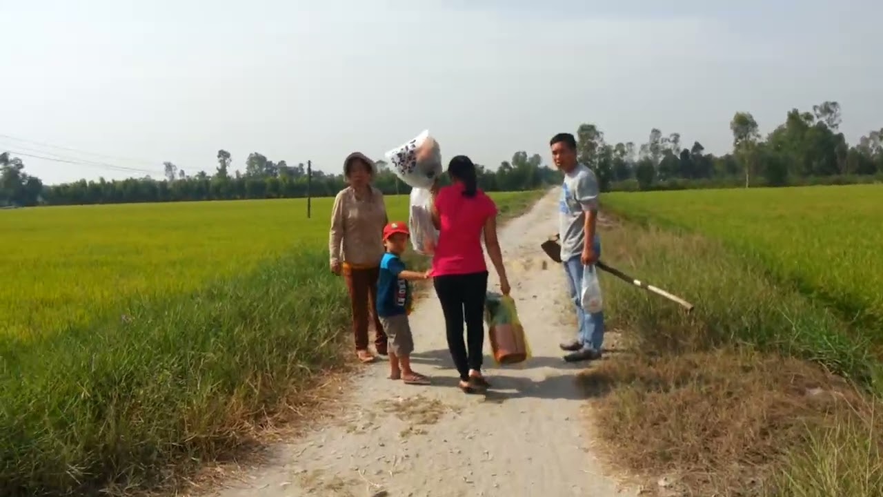 vy di tao mo ong co noi