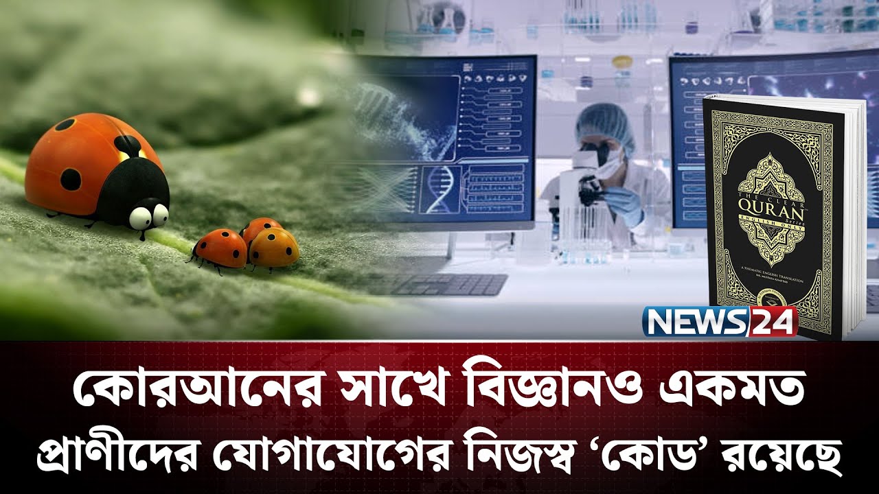 কোরআন বলেছে: সকল প্রাণীর নিজস্ব ভাষা আছে | Bird Language | Animal Communication | NEWS24