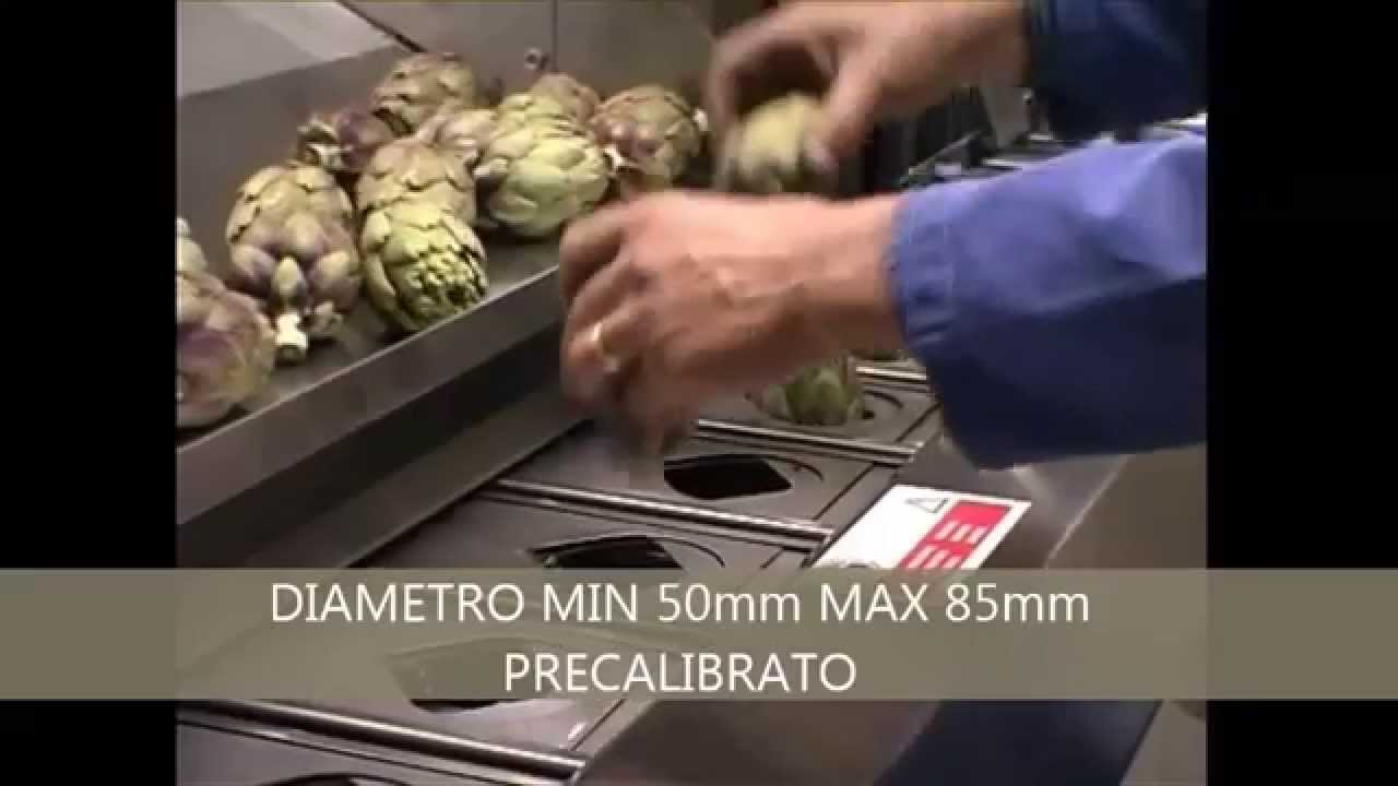 TORNITRICE DI CARCIOFI CON GAMBO 