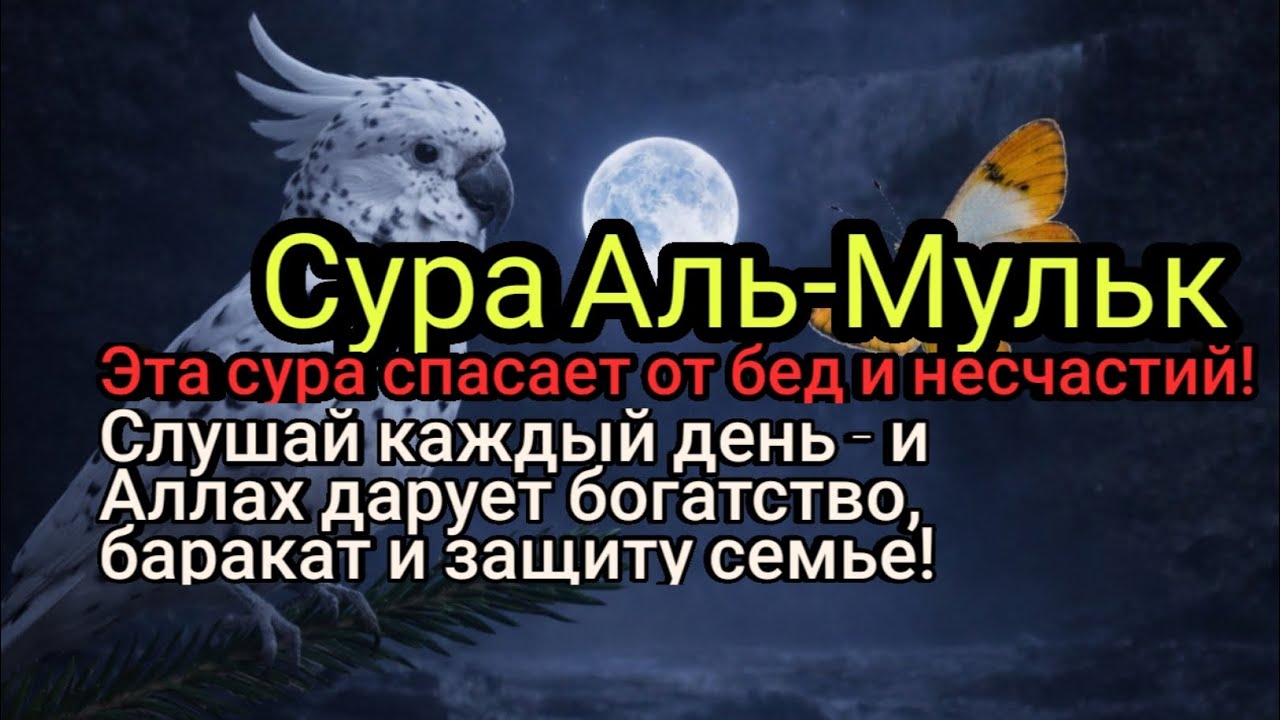 Богатство и ризк со всех сторон: эта сура защищает твою семью от зла!