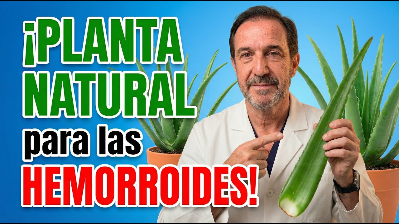¿Aloe vera para las hemorroides  Esto dice la evidencia médica guía clara | Dr. Andrés Belmonte