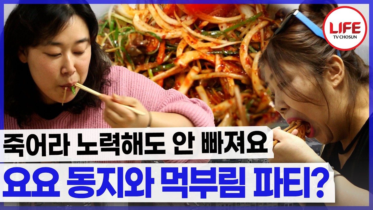 다이어트 동지라 쓰고 요요 동지라 읽는다 같이 먹고 같이 찌는 굴레 (TV CHOSUN 200711 방송)