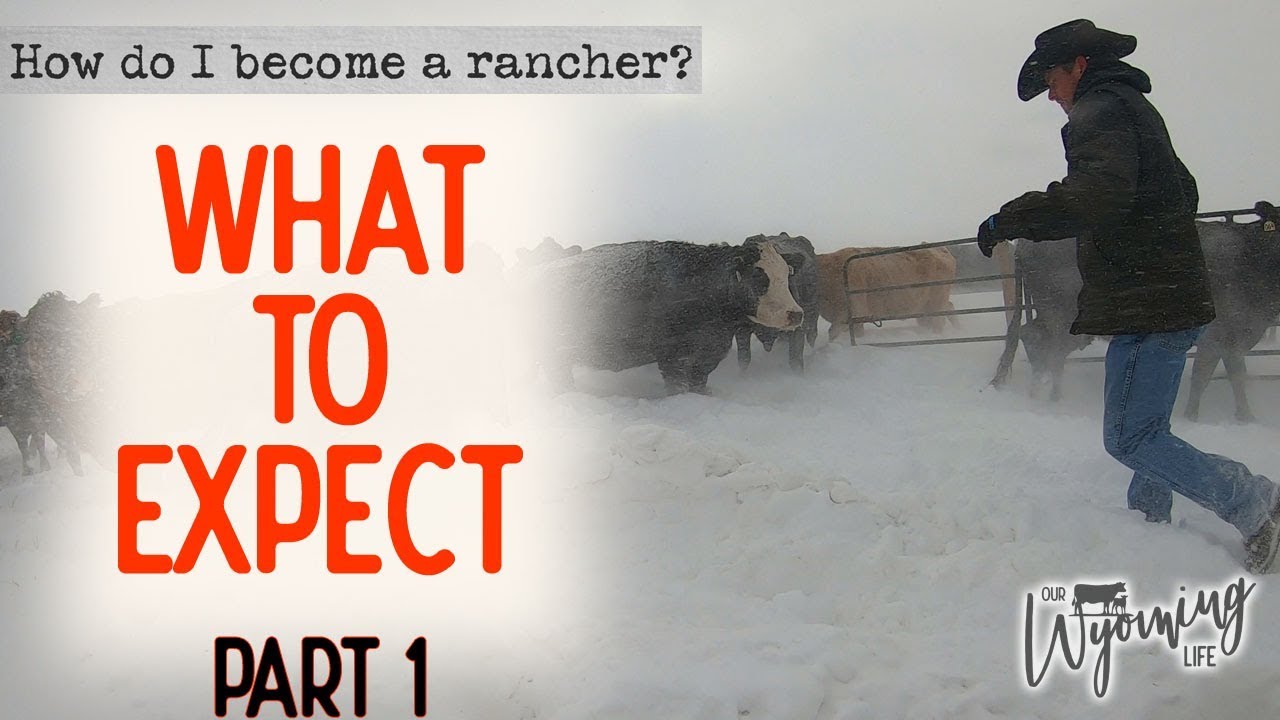 How Do I Become A Rancher? - Part 1 - What to Expect