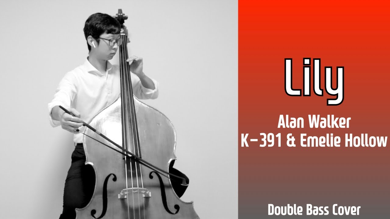 ⌜Lily⌟  Alan Walker, K-391 & Emelie Hollow (Double Bass Cover)